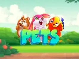 Pets